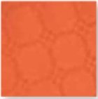 Coprimacchia Politenata Niba Colori Forti 100x100